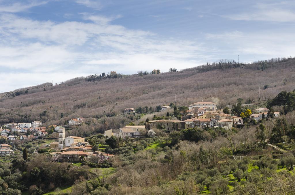 Bed and Breakfast Al Casale Dei Nonni Laureana Cilento Exterior foto